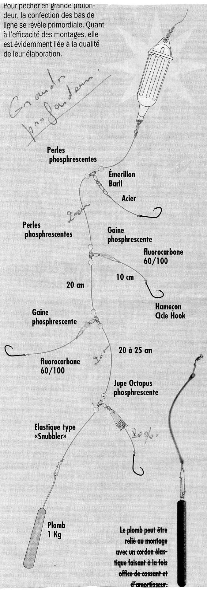 Bas De Ligne Carpe 20 M - Dyneema Camouflage - Behr Angelsport Camou-Viper-Elite